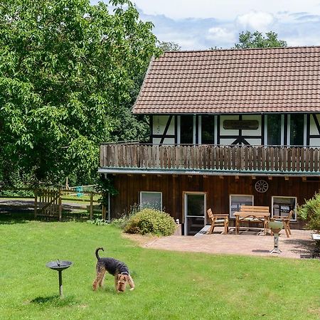 Forsthaus Halbemark Bad Sooden-Allendorf Luaran gambar