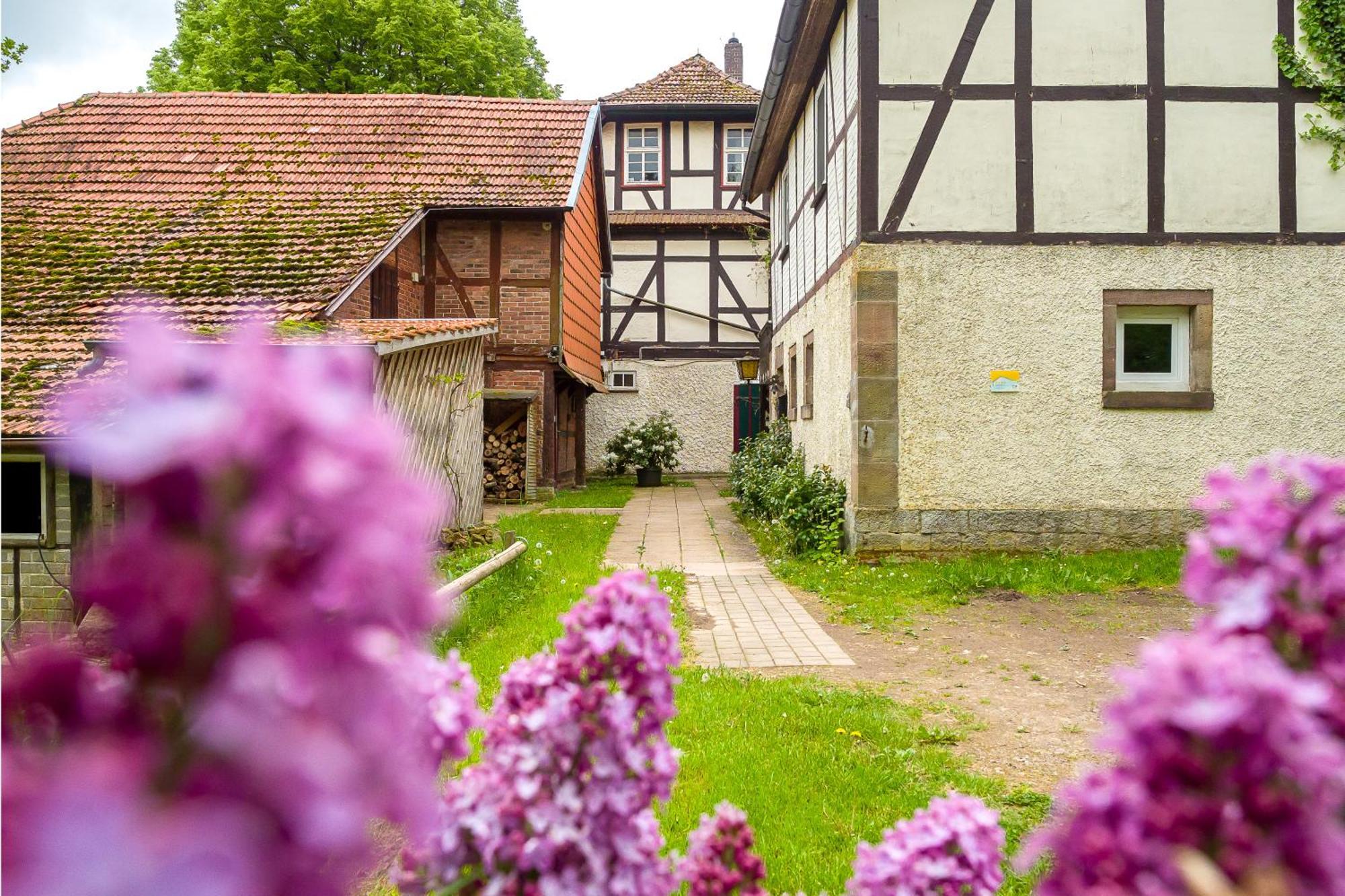 Forsthaus Halbemark Bad Sooden-Allendorf Luaran gambar