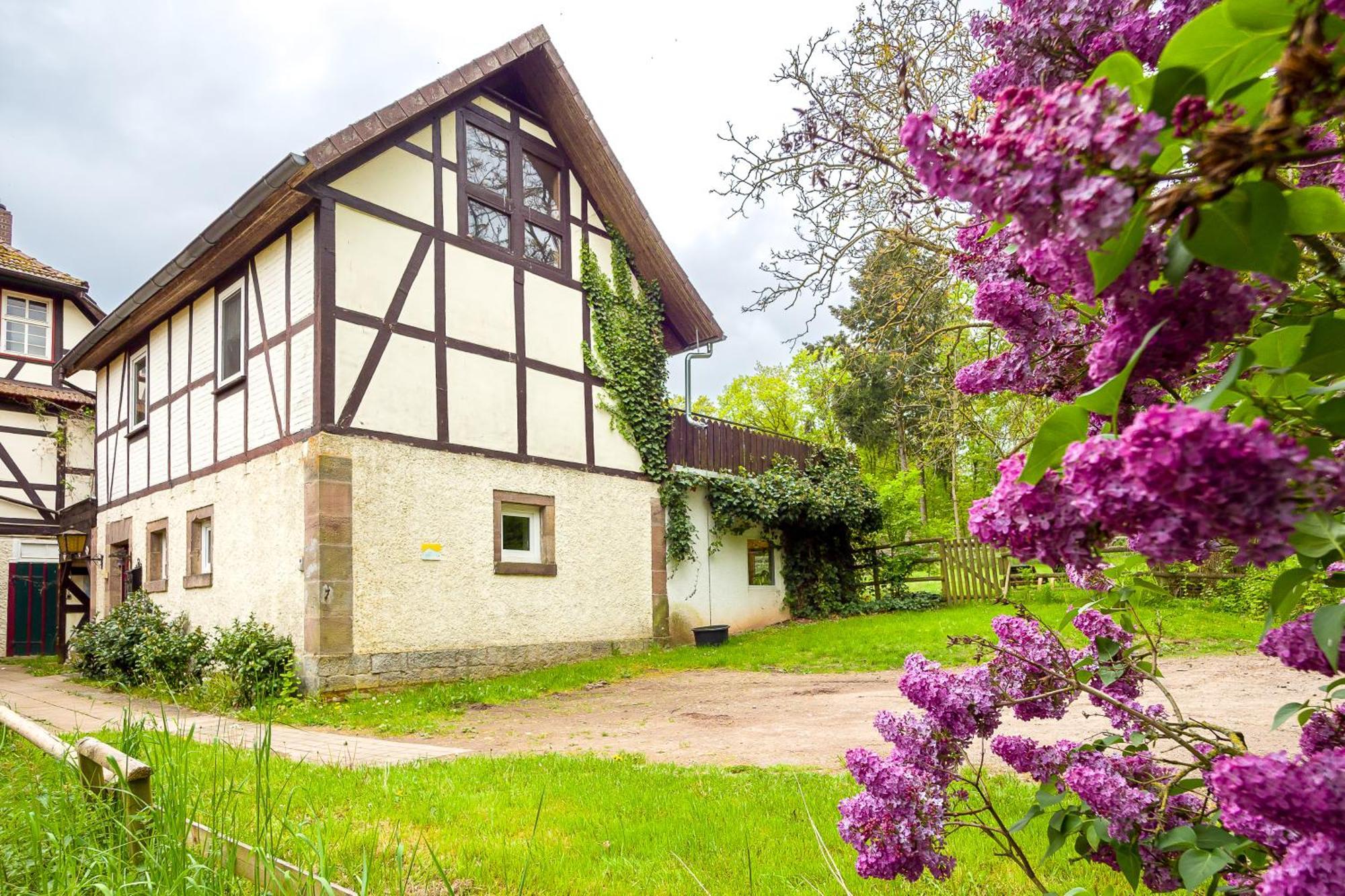 Forsthaus Halbemark Bad Sooden-Allendorf Luaran gambar